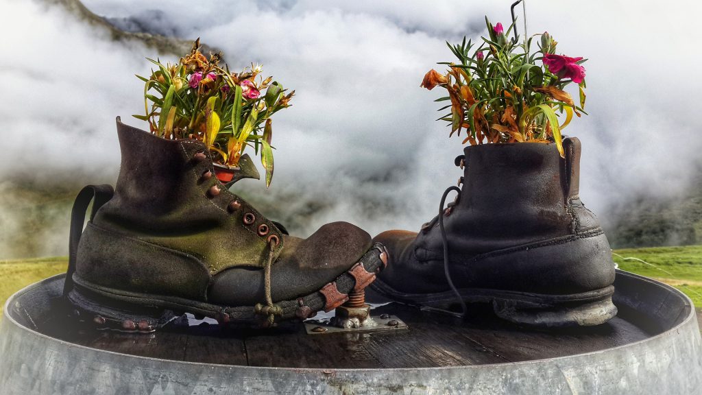 Recyclage chaussures pot de fleur